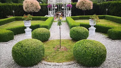 Ciach Ciach Pielęgnacja Ogrodów